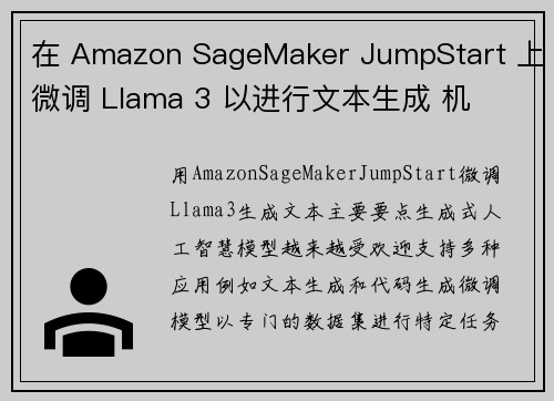 在 Amazon SageMaker JumpStart 上微调 Llama 3 以进行文本生成 机
